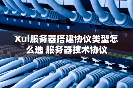 Xui服务器搭建协议类型怎么选 服务器技术协议