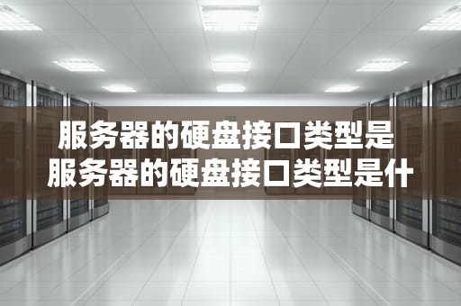 服务器的硬盘接口类型是 服务器的硬盘接口类型是什么