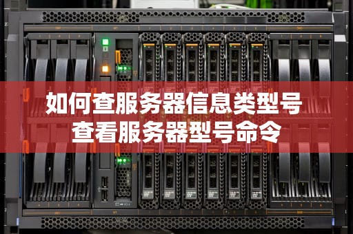 如何查服务器信息类型号 查看服务器型号命令
