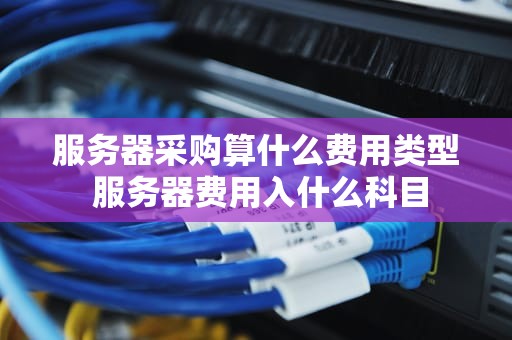 服务器采购算什么费用类型 服务器费用入什么科目