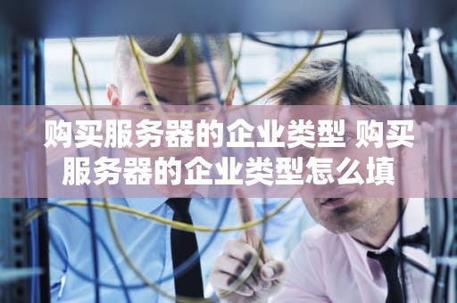 购买服务器的企业类型 购买服务器的企业类型怎么填
