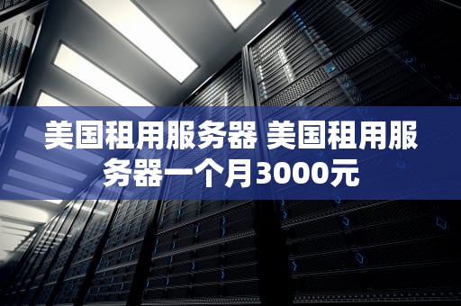 美国租用服务器 美国租用服务器一个月3000元