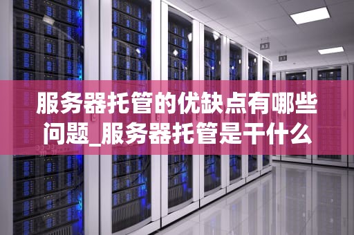 服务器托管的优缺点有哪些问题_服务器托管是干什么的_服务器托管的优缺点分析