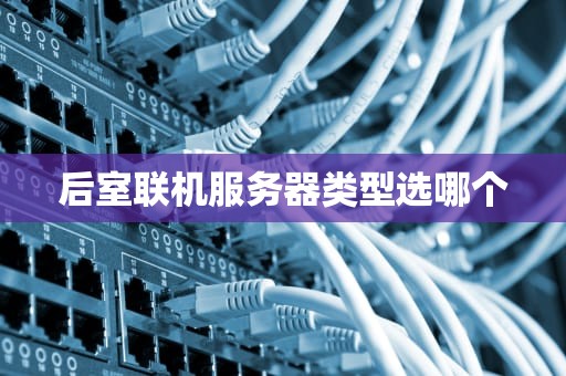 后室联机服务器类型选哪个