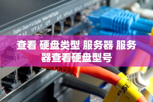 查看 硬盘类型 服务器 服务器查看硬盘型号