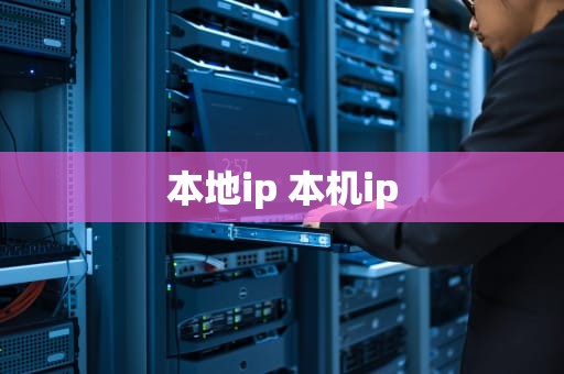 本地ip 本机ip