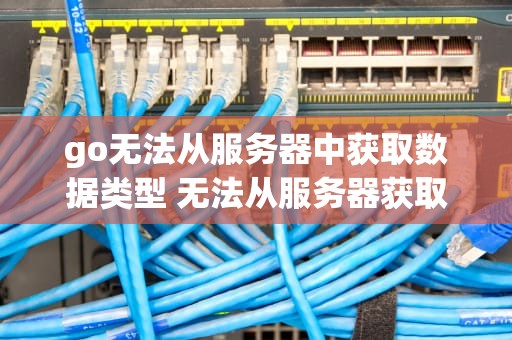 go无法从服务器中获取数据类型 无法从服务器获取最新更新,请稍后重试