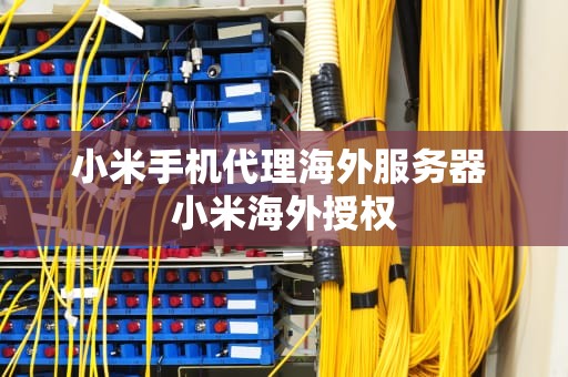 小米手机代理海外服务器 小米海外授权