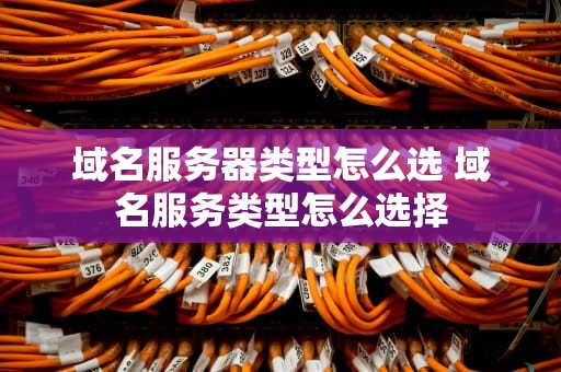 域名服务器类型怎么选 域名服务类型怎么选择