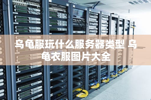 乌龟服玩什么服务器类型 乌龟衣服图片大全