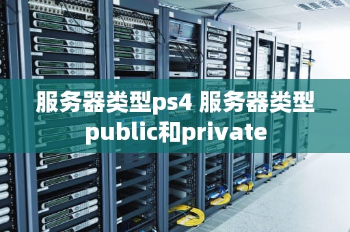 服务器类型ps4 服务器类型public和private