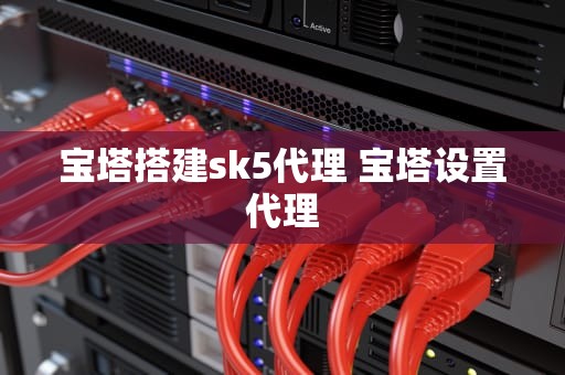 宝塔搭建sk5代理 宝塔设置代理