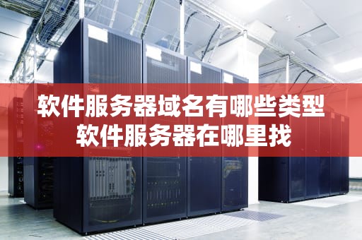 软件服务器域名有哪些类型 软件服务器在哪里找