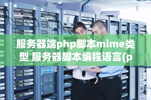 服务器端php脚本mime类型 服务器脚本编程语言(php)