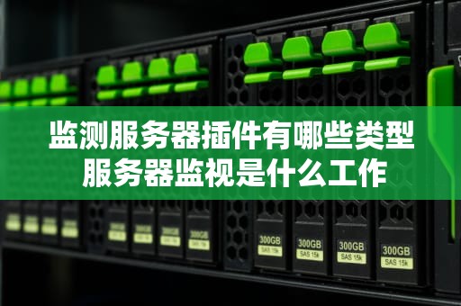 监测服务器插件有哪些类型 服务器监视是什么工作