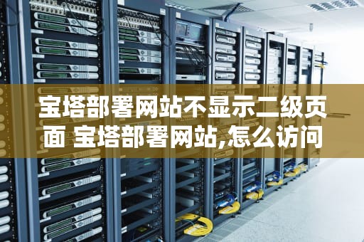 宝塔部署网站不显示二级页面 宝塔部署网站,怎么访问不了