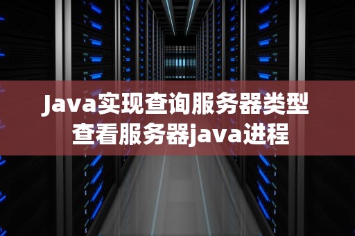 Java实现查询服务器类型 查看服务器java进程