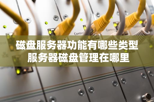 磁盘服务器功能有哪些类型 服务器磁盘管理在哪里