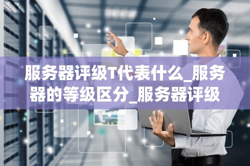 服务器评级T代表什么_服务器的等级区分_服务器评级T的含义及其重要性