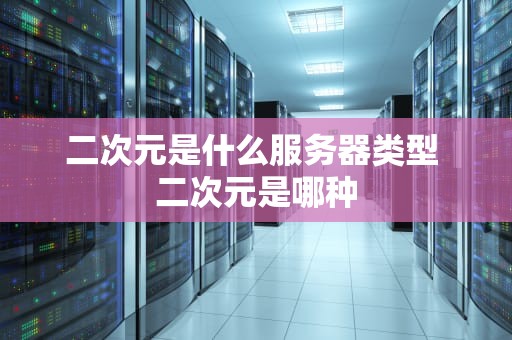 二次元是什么服务器类型 二次元是哪种