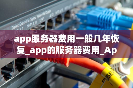 app服务器费用一般几年恢复_app的服务器费用_App服务器费用的恢复周期及其影响因素