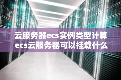 云服务器ecs实例类型计算 ecs云服务器可以挂载什么数据盘