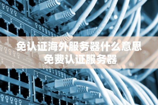 免认证海外服务器什么意思 免费认证服务器