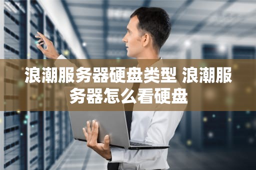 浪潮服务器硬盘类型 浪潮服务器怎么看硬盘
