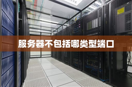 服务器不包括哪类型端口