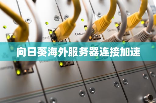 向日葵海外服务器连接加速