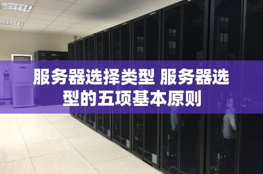 服务器选择类型 服务器选型的五项基本原则