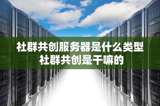 社群共创服务器是什么类型 社群共创是干嘛的
