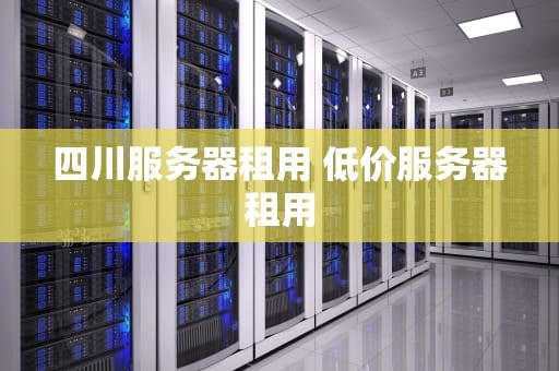 四川服务器租用 低价服务器租用