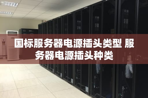 国标服务器电源插头类型 服务器电源插头种类