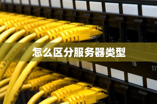 怎么区分服务器类型