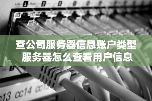 查公司服务器信息账户类型 服务器怎么查看用户信息