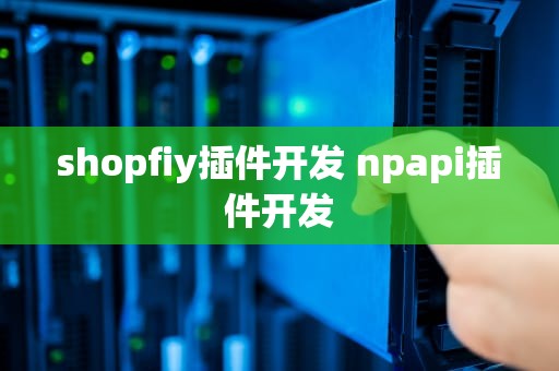 shopfiy插件开发 npapi插件开发