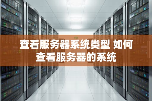 查看服务器系统类型 如何查看服务器的系统