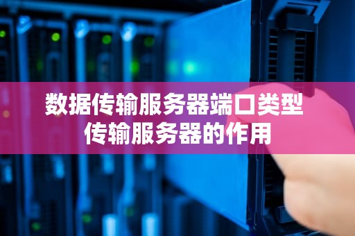 数据传输服务器端口类型 传输服务器的作用