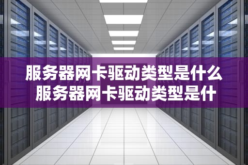 服务器网卡驱动类型是什么 服务器网卡驱动类型是什么意思