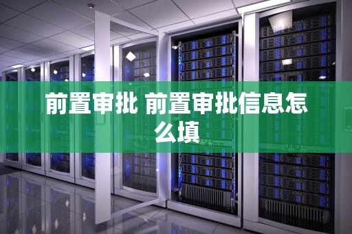 前置审批 前置审批信息怎么填