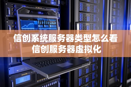 信创系统服务器类型怎么看 信创服务器虚拟化