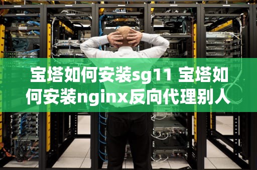 宝塔如何安装sg11 宝塔如何安装nginx反向代理别人的网站