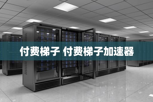 付费梯子 付费梯子加速器