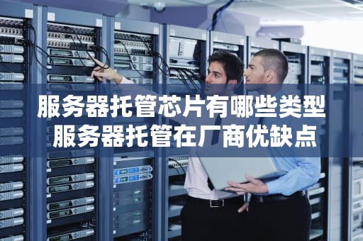 服务器托管芯片有哪些类型 服务器托管在厂商优缺点