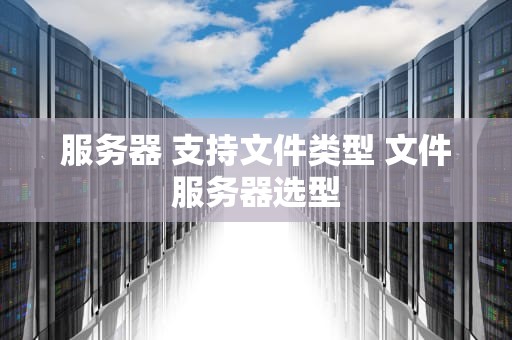服务器 支持文件类型 文件服务器选型