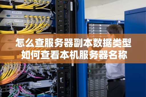 怎么查服务器副本数据类型 如何查看本机服务器名称