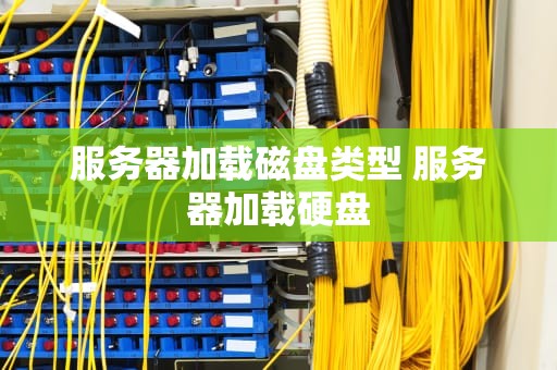 服务器加载磁盘类型 服务器加载硬盘