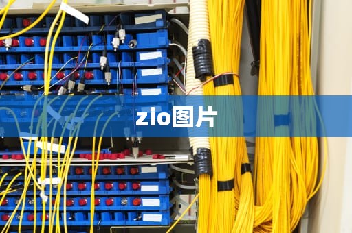 zio图片