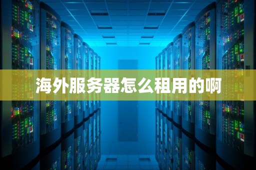 海外服务器怎么租用的啊